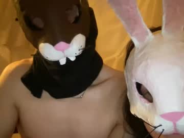couple Free Webcam Girls Sex with easterhunny